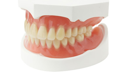 Complete denture set dental prosthetic model
